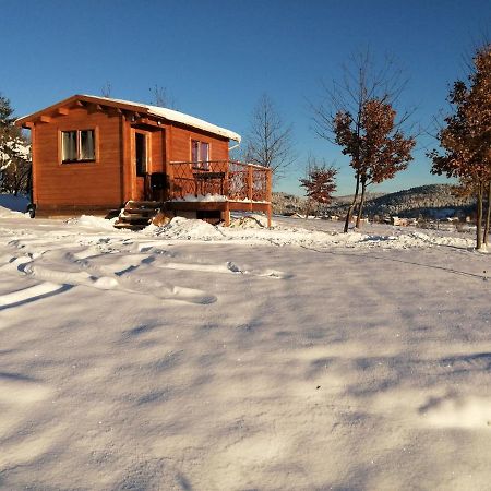 Le Chalet Des Etoiles Champagnac-le-Vieux Zewnętrze zdjęcie