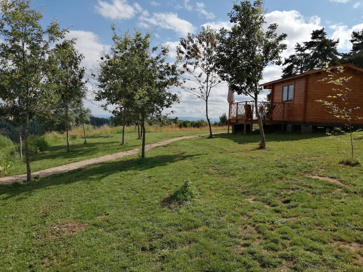 Le Chalet Des Etoiles Champagnac-le-Vieux Zewnętrze zdjęcie